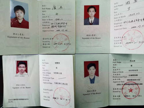 四川彭山县网易严选商户资产评估工作方案