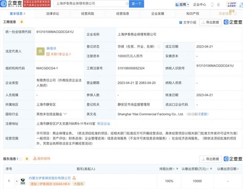 资产评估咨询业务的多元化发展与实践应用
